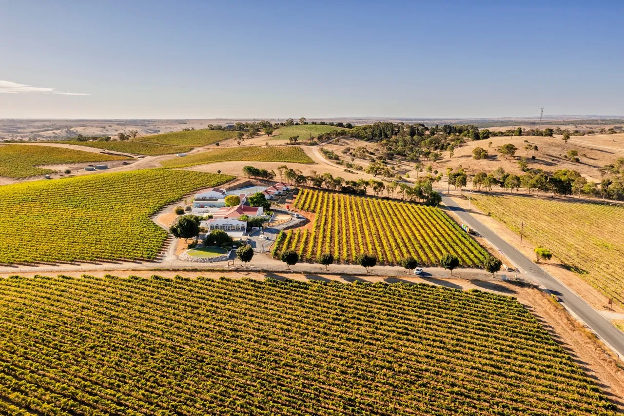 barossa valley
